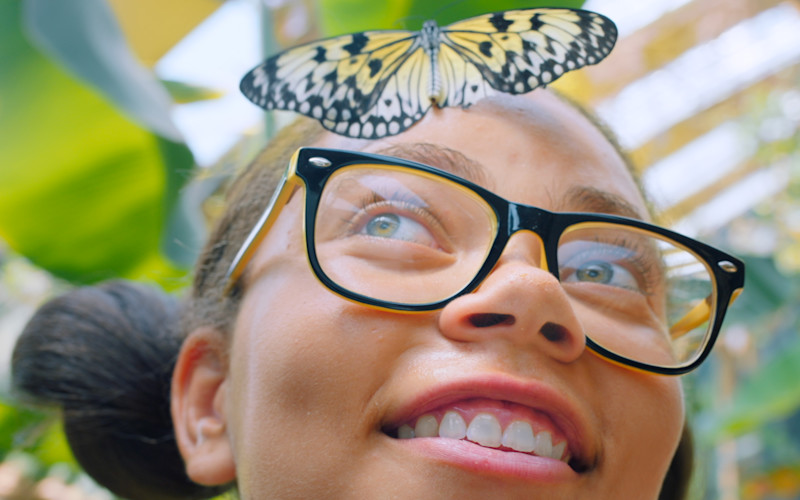 Young girl in frames with butterfly